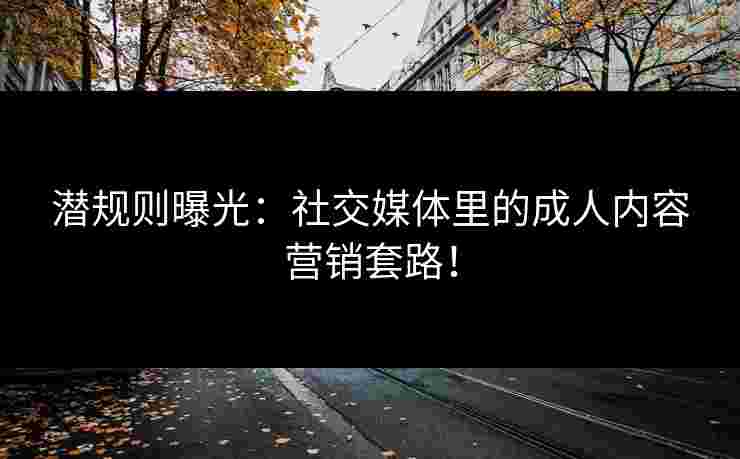 潜规则曝光:社交媒体里的成人内容营销套路! 潜规则曝光:社交媒体里的成人内容营销套路!